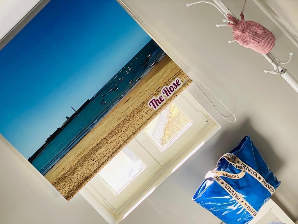 شقة Atico Loft The Rose 48 كاديز المظهر الخارجي الصورة